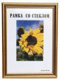 DL-1629 / Состаренное золото 30x40