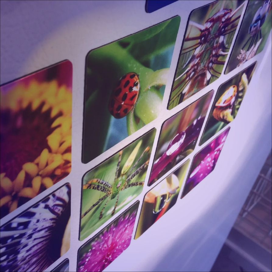 Фотомагниты